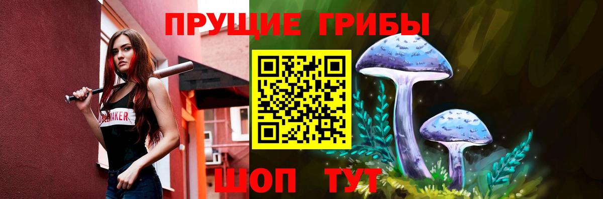 Галлюциногенные грибы Psilocybe Ишимбай